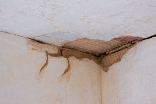 Best Sewage cleanup and water damage restoration  in Farley, KY
