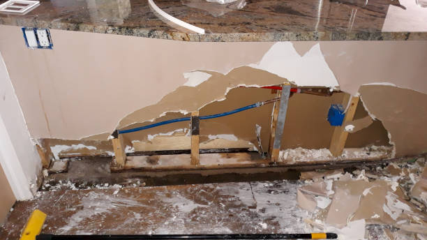Best Ceiling water damage repair  in Farley, KY