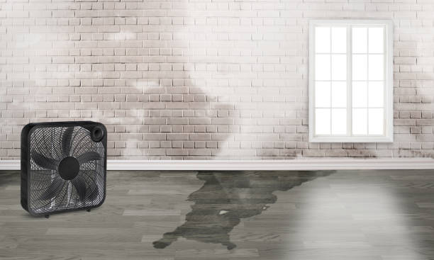 Best Water damage restoration near me  in Farley, KY